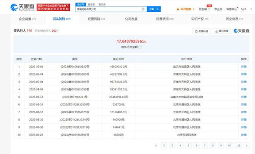 國美電器新增多條被執行人信息，被執行總金額超17億元